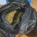 The alleged drug smuggler concealed the Kush in a black plastic bag before stashing it in a giant speaker